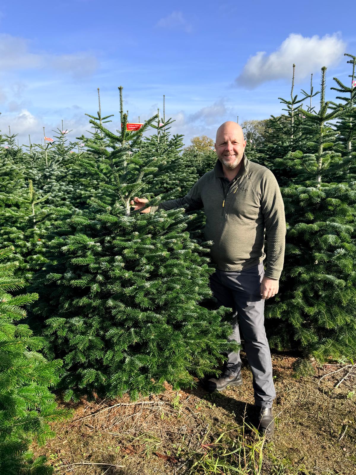 1) Premium Deluxe Cut / Select Cut Nordmann Fir